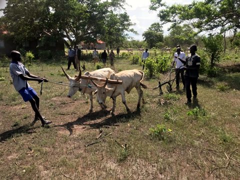 Kids in Crisis International in South Sudan