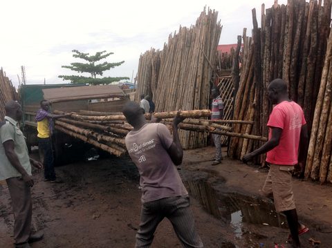 Teak and bamboo bought for the first four classrooms, December 2015