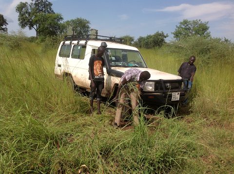 The road to Mundari Bura, where a truck of bricks could take days to get through